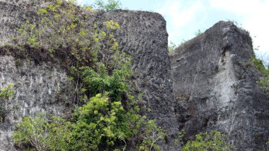 Endonezya 'daki Garuda Wisnu Kencana Kültür Parkı Bölgesi