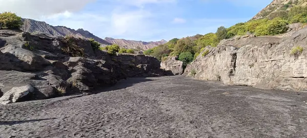 Bromo Dağı 'nın ve Endonezya' nın doğu Java bölgesinin güzel manzarası