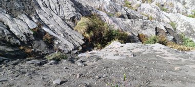 Bromo Dağı 'nın ve Endonezya' nın doğu Java bölgesinin güzel manzarası