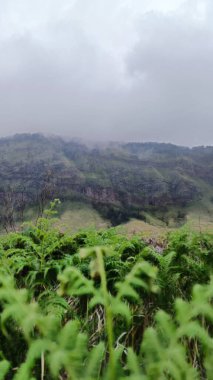 Bromo Dağı 'nın ve Endonezya' nın doğu Java bölgesinin güzel manzarası