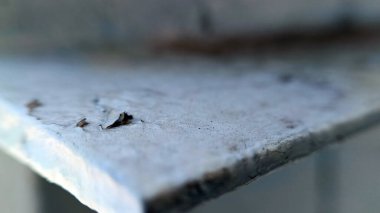 Paslı demirin yakın fotoğrafını çek.