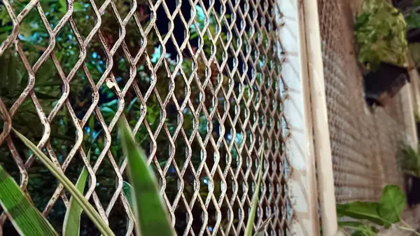 Asılı saksıları, beyaz tel çitleri olan tel örgüler..