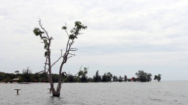 Vio Vio Beach Batam 'ın beyaz kumlu güzel manzarası.