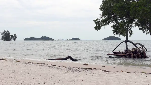 Vio Vio Beach Batam 'ın beyaz kumlu güzel manzarası.