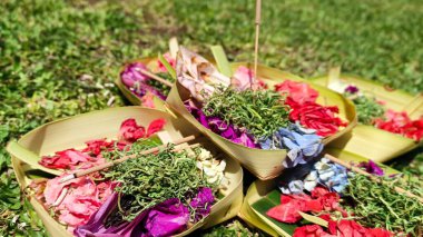 Bali 'de çiçek sunmak, tipik bir Hindu dini geleneği..
