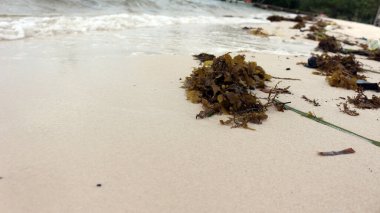 Vio Vio Beach Batam 'ın beyaz kumlu güzel manzarası.