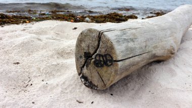 Kumsalda, beyaz kumsalda.