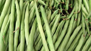 Taze taze fasulye, yeni toplanmış gibi..
