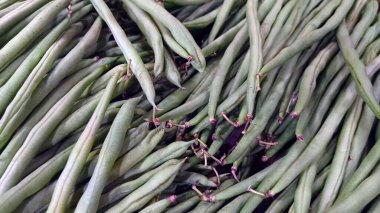 Taze taze fasulye, yeni toplanmış gibi..