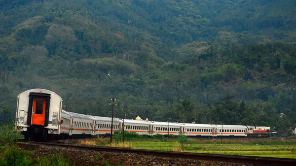Güzel doğal manzaralı, kırsal kesimden geçen bir trenin görüntüsü.