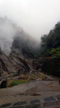 Bir sürü ağaçla kaplı tepelerin manzarası