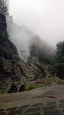 Bir sürü ağaçla kaplı tepelerin manzarası