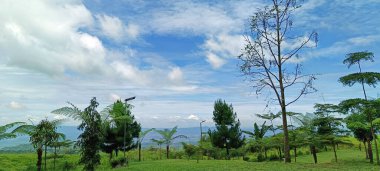 Ağaçlar ve parlak bulutlarla tepeden bak