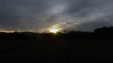 Karanlık bulutlar ve ağaçların gölgeleriyle gün batımı manzarası bahçede