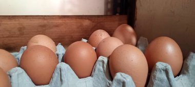 Taze tavuk yumurtalarını bir karton içinde kapat.