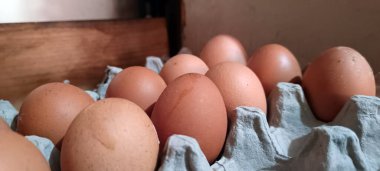 Taze tavuk yumurtalarını bir karton içinde kapat.