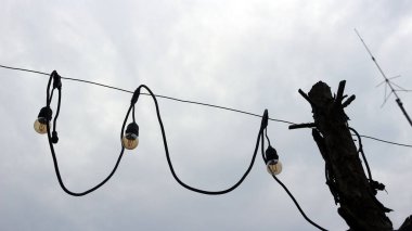 Etrafında ağaçlar olan bahçenin etrafında ışıklar asılı.