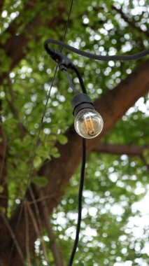 Etrafında ağaçlar olan bahçenin etrafında ışıklar asılı.