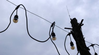 Etrafında ağaçlar olan bahçenin etrafında ışıklar asılı.