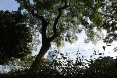 Altında parlak bulutlar ve ağaçlar olan yüksek bir bina.