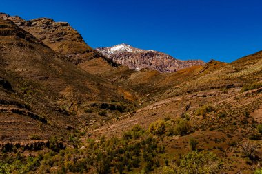 Beautiful mountain landscape in brown tones with snowy peak in the background and in the foreground bushes and sclerophyllous vegetation on the ascent trail under completely blue sky