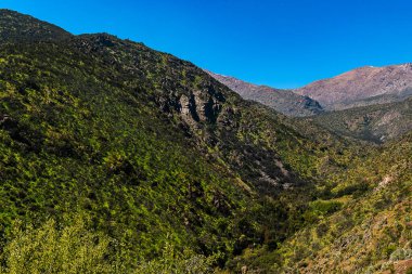 açık bir günde, Santiago de Chile 'in eteklerindeki bitki örtüsüyle birlikte yamaçlarda bahar manzarası