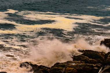 Pasifik Okyanusu 'nun dalgaları ve dalgaları Orta Şili kıyısında, Papudo, Valparaso Bölgesi' nde kayalara çarpıyor.