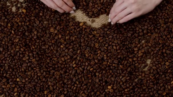 Woman Sorting Freshly Roasted Coffee — Vídeos de Stock