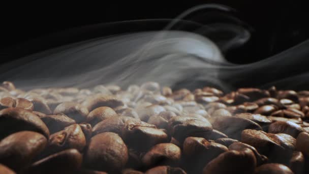 Macro Shoot Italian Coffee Organic Food Close Seeds Coffee Fragrant — Vídeo de Stock