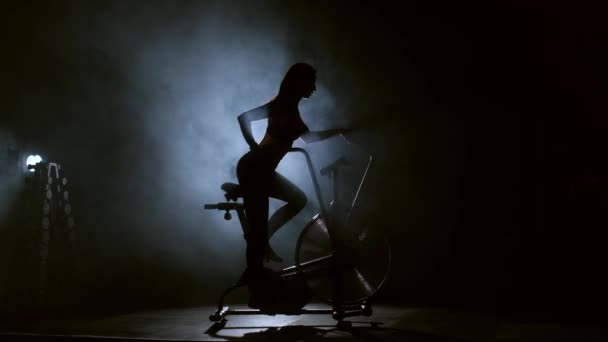 Atletisk Tjej Som Använder Träningsutrustning Ett Modernt Mörkt Gym Ung — Stockvideo
