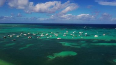 Lush exotic greenery and the blue of the sea and sky against the backdrop of luxurious yachts form a beautiful landscape. Sunny day on the picturesque coast of the Caribbean Sea. 