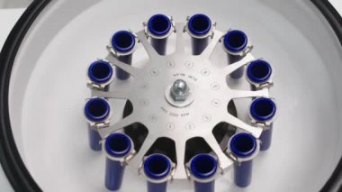 Cosmetologist extracting blood plasma using a centrifuge. The doctor takes out tubes with blood plasma.