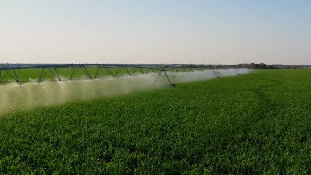Irrigazione Del Campo Agricolo Sistema Irrigazione Acqua Funzionante Sulle Piantagioni — Video Stock