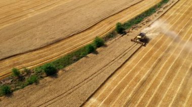 Hasat makinesinin hava görüntüsü, tarlada çalışan bir traktör. Tarım makineleri hasat sırasında tarım arazilerinde çalışır. Tarım konsepti. Yukarıdan görüntüle