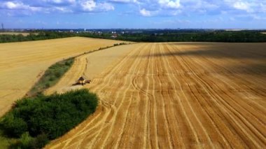 4K Aerial view of the cereal crop. The drone was fired while flying over a combine harvester operating in a wheat field. Harvester for harvesting wheat in the field Work in progress. Field after harve
