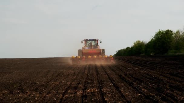 畑を走行する種付け機械を備えたトラクターの農民は 小麦やトウモロコシの穀物を蒔きます 営業のための農作業の概念及び有機食品の生産から利益を得ること — ストック動画