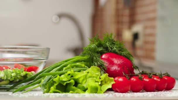 Соль Овощи Салат Замедленной Съемки Делать Овощной Салат Открытом Воздухе — стоковое видео