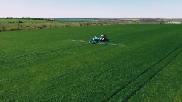 Распыление Зеленого Пшеничного Поля Тракторе Сельскохозяйственный Трактор Опрыскивает Поле Опрыскивателем — стоковое видео