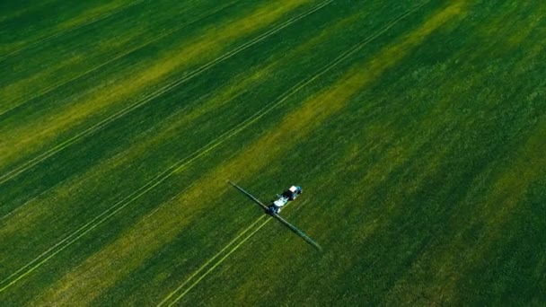Spraying Green Wheat Field Tractor Farming Tractor Spraying Field Sprayer — Vídeo de Stock
