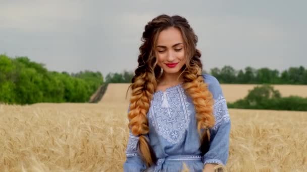 우크라이나 의상을 아름답게 미소짓고 이금으로 밀밭을 누비며 여름철 기분을 즐긴다 — 비디오