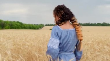 Geleneksel Ukrayna kıyafetleri içinde güzel bir genç kadın altın buğday tarlasında koşar, etrafında döner, açık hava eğlencesi, özgürlük ve kaygısız havanın tadını çıkarır yaz günbatımında güneş batımında.