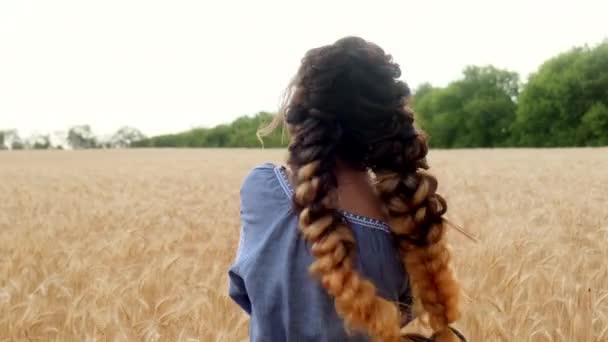 Una Mujer Ucraniana Camina Por Campo Trigo Amanecer Tocando Las — Vídeos de Stock