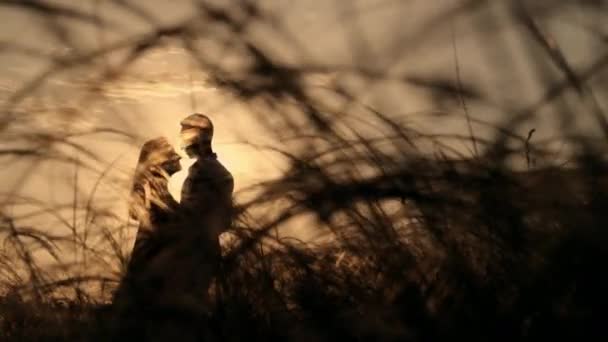 Altın Tarlada Bir Çift Silueti Güzel Bir Günbatımı Genç Romantik — Stok video