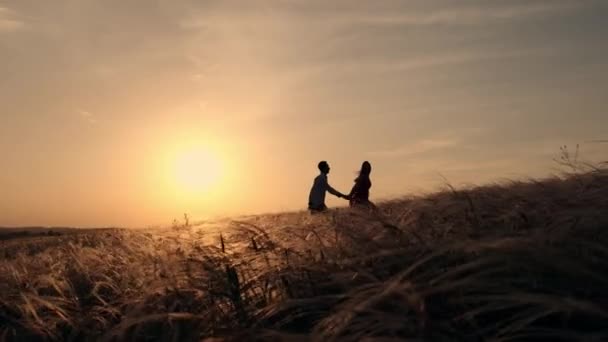 Silhouette Couple Golden Field Beautiful Sunset Young Romantic Family Enjoying — Stock Video