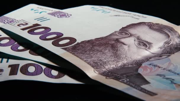 Ukrainian Hryvnia Money Various Bills Slow Motion Falling Detailed Close — Stockvideo