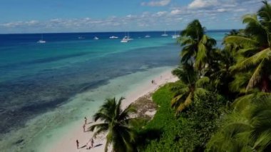 Summer landscape of the Dominican Republic palm island. Palm trees and sea 4k stock video footage. Paradise island with beautiful palm trees and a turquoise sea. Clean beach with no people.