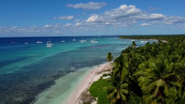Dominikaanisen Tasavallan Palmusaaren Kesämaisema Palmuja Merivideokuvaa Paratiisisaari Jossa Kauniita Palmuja — kuvapankkivideo