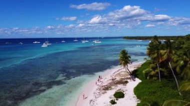 Summer landscape of the Dominican Republic palm island. Palm trees and sea 4k stock video footage. Paradise island with beautiful palm trees and a turquoise sea. Clean beach with no people.