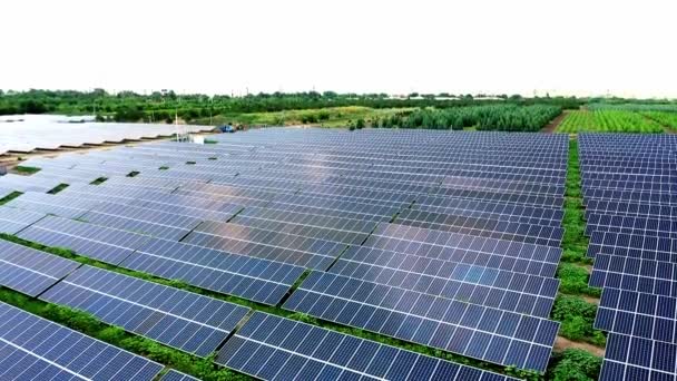 Sonnenkollektoren Die Einer Reihe Auf Den Feldern Stehen Grüne Energie — Stockvideo