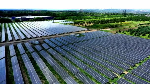 太陽光パネルファーム 太陽電池 の空中ビュー ソーラーパネルフィールド上のドローン飛行 再生可能な緑の代替エネルギーコンセプト — ストック動画